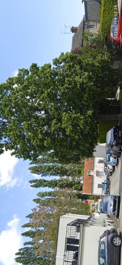 Le Phenix A Internet Haut Debit & Parking Dijon Bagian luar foto